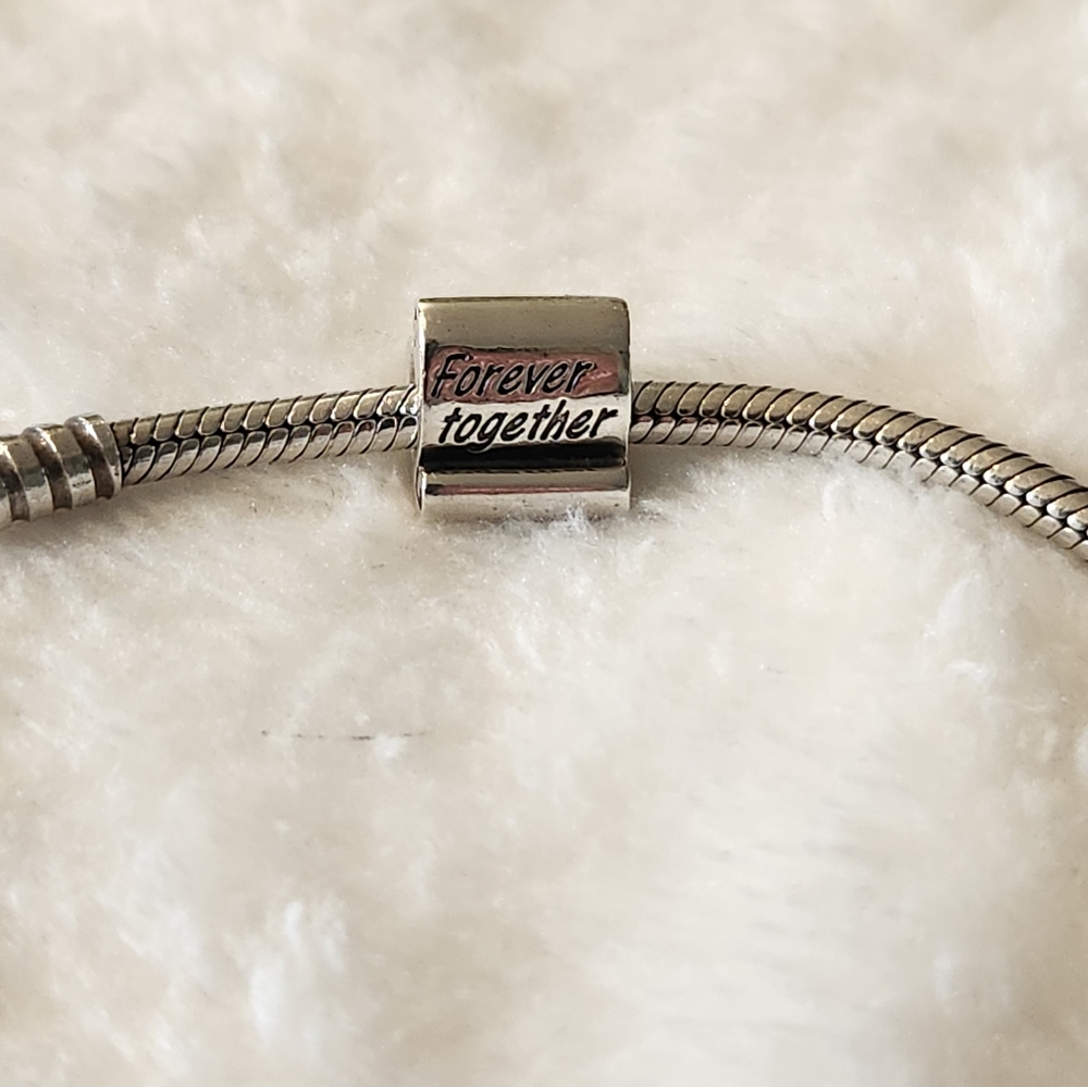 Pandora "forever together" charm